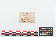 Etiketten zu Schleifstein (NHMW-PRAE-024383)